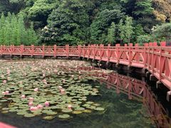 -广州市石门国家森林公园