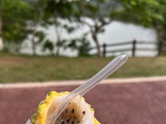 -凤岗南门山森林公园