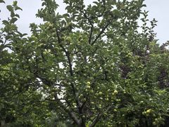 -北京国家会计学院