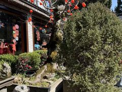 -木子山庄·安徽省老字号·中国炖锅宴