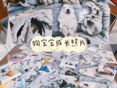 -星多哈·狗咖·拼豆·咖啡