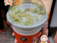 -茉酸奶(广西北路店)