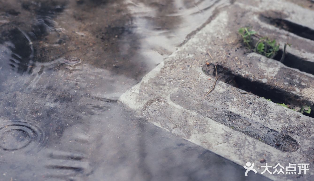 🌈随手印记｜对世界上瘾｜小白学摄影