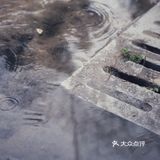 🌈随手印记｜对世界上瘾｜小白学摄影