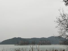 -东湖落雁景区