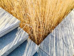 -中关村生命科学园