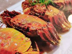 -永安水煮活鱼·仪征土菜院子