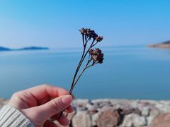 -苏州太湖国家湿地公园