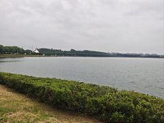 -丁香湖公园