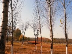 -东郊湿地公园
