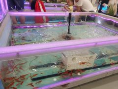 -万达宝贝王成长乐园(重庆永川店)