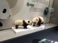 -四川大学博物馆