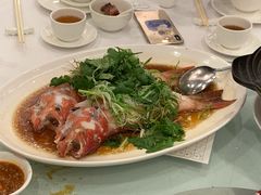 -西苑酒家(太古城店)