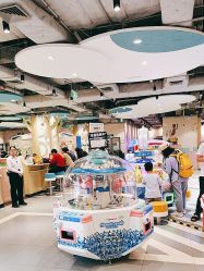 -meland亲子乐园•活动包场(佛山新DNA购物中心店)