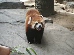 -北京野生动物园