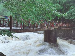 -青峰峡国家森林公园