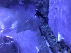 -成都浩海立方海洋公园