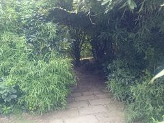 -渤公岛生态公园
