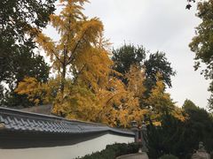 -西安市纺织公园