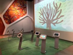 点击看大图 -北京科学中心儿童乐园