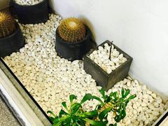 -莓超疯