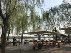 -石家庄市植物园