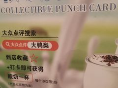 -大鸭梨烤鸭店(朝阳路店)
