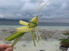 -马达京岛