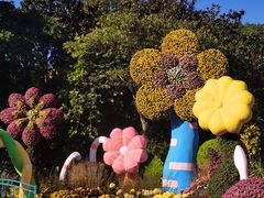 -上海共青森林公园