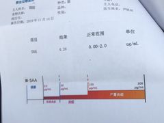 -北京赛佳动物医院