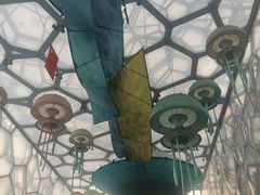 -水立方嬉水乐园