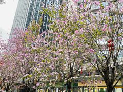 -荔湾区儿童公园