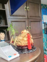 -贝勒爷专业男发