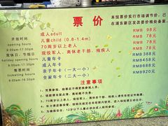 -上海大自然野生昆虫馆(东方明珠·爬宠昆虫探索中心)