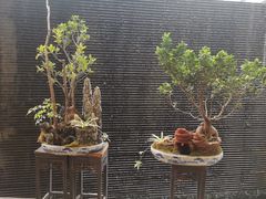 -云南荟·湖畔领宴(领事馆店)