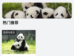 -都江堰中华大熊猫苑