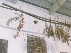 -灶咖KITCHEN
