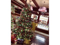 -香港尖沙咀凯悦酒店