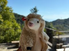 -神户市立六甲山牧场