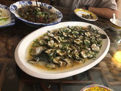 -呼吸森林·生态农庄农家乐私房菜