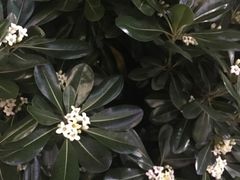 -凯德广场(武胜路店)