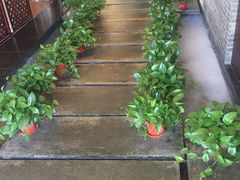 -梧桐餐厅(泉城路店)