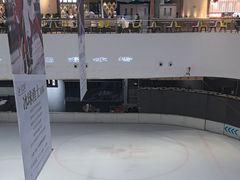 -TheRink大零溜冰场(IFS国金中心店)