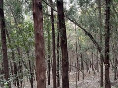 -云龙山
