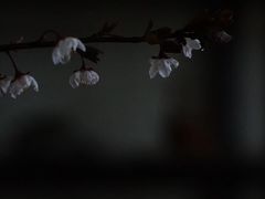 -见山茶事(丽水路店)