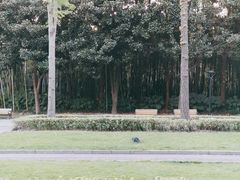 -苏州河梦清园环保主题公园