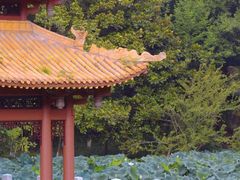 -富乐山