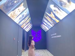 -杭州宝龙艺术中心