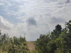 -长虫山生态公园风景林
