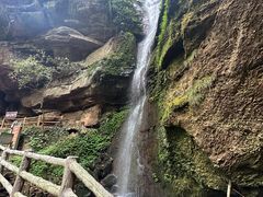 -碧峰峡风景区